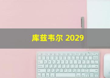 库兹韦尔 2029